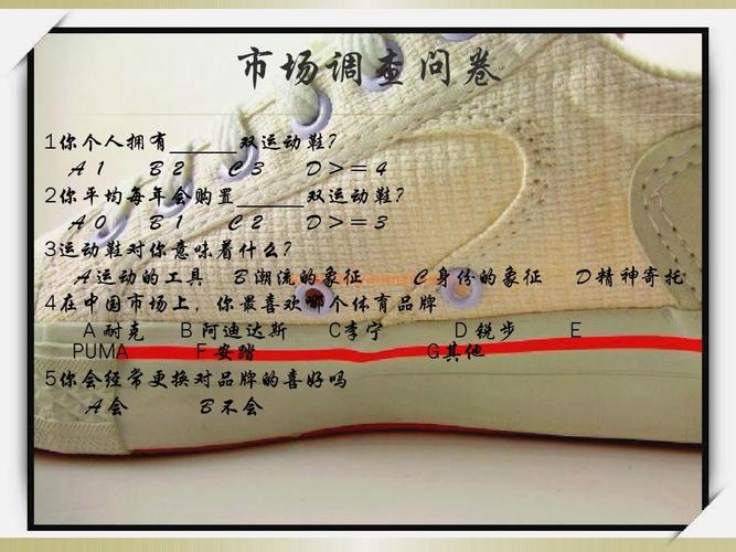 回力鞋品牌重塑与市场营销策划书